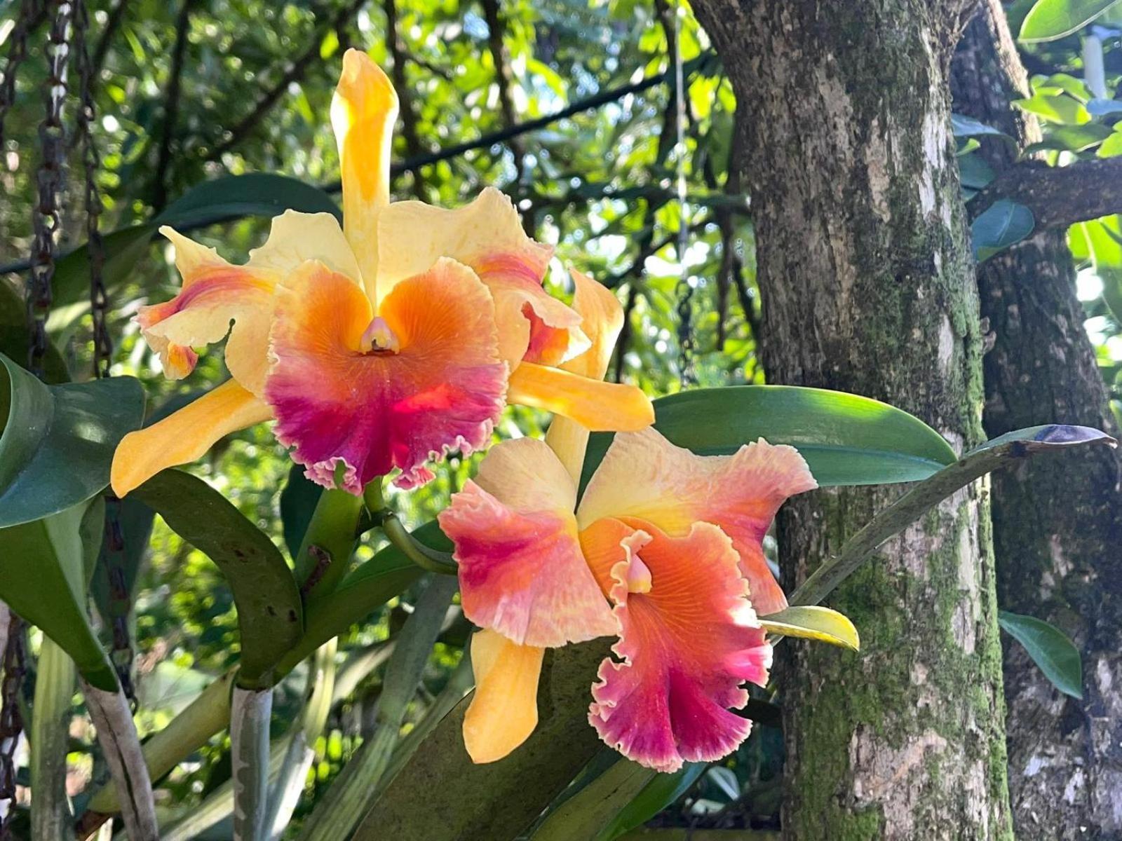 Costa Tropical Daire Salobreña Dış mekan fotoğraf